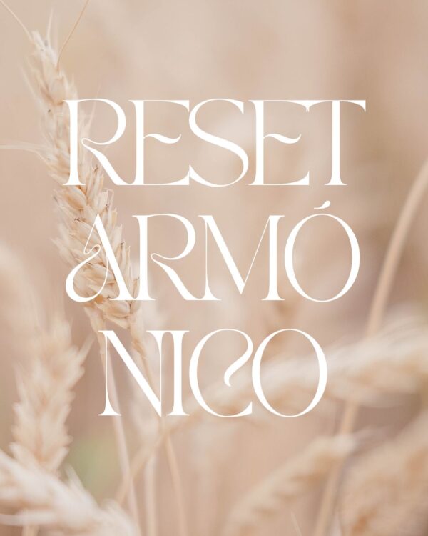 Reset Armónico – Asesoría para transformar un espacio sin obras