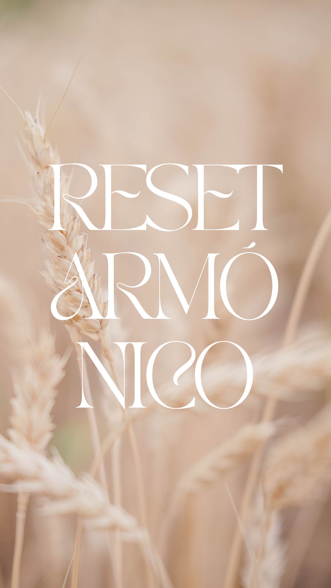 Reset Armónico – Asesoría para transformar un espacio sin obras
